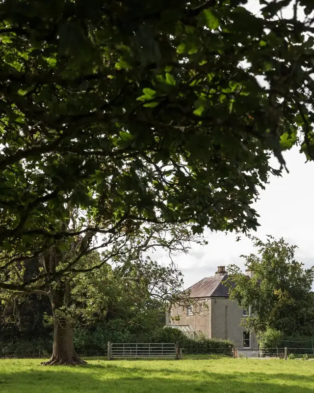 An old oak on the lawn, with Mountrothe House beyond
